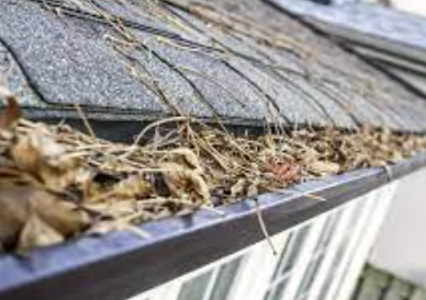 gutter cleaning adelaide