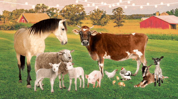 Clipart:_U83dkxk5li= Farm Animals