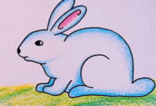 Cute:5kugqx1uv3y= Rabbit Drawing