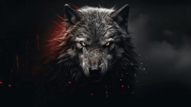 Lone Wolf:Vjoyjjn2xvc= Alpha Wolf