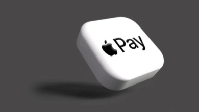 Transparent:8bnqi79wbxq= Apple Pay Logo