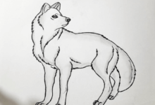 Cute:4qrwp3_Rxcq= Wolf Drawing