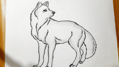 Cute:4qrwp3_Rxcq= Wolf Drawing