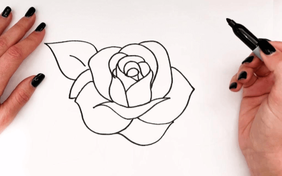 Outline:5lvuzffno7u= Rose Drawing