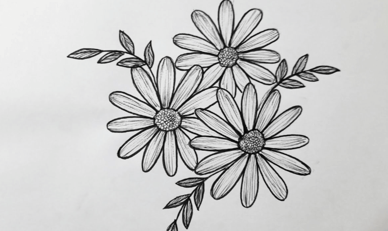 Simple:3vz4qc7cf5i= Easy Flower Drawing