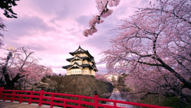 Wallpaper:4imxcrqsyxo= Japan