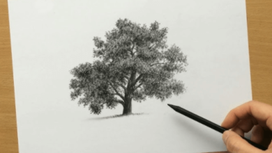 Simple:4hlllztx2mk= Tree Sketch