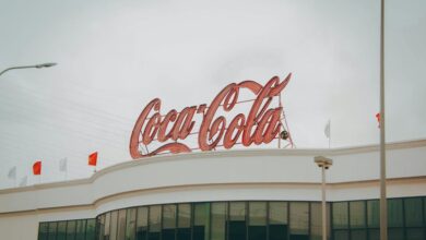 catalyst apex start growth engine