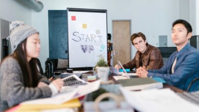 dynamic apex start emerging ventures