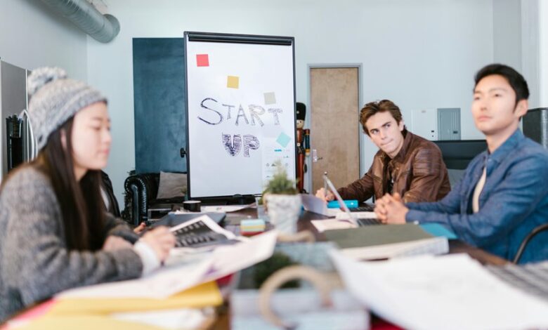 dynamic apex start emerging ventures