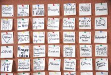 dynamic pulse across transformative projects