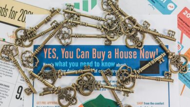 momentum driving market opportunities edge start 8776363716