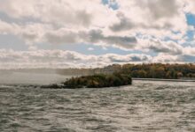 stellar flow start 8775895169