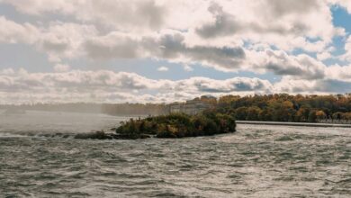 stellar flow start 8775895169