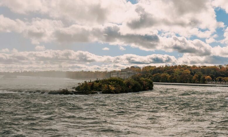 stellar flow start 8775895169