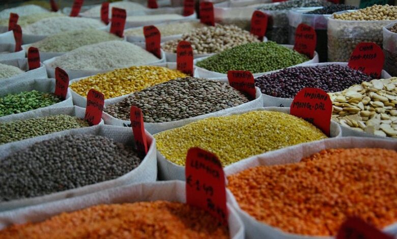 trailblazing pulse drives market innovation