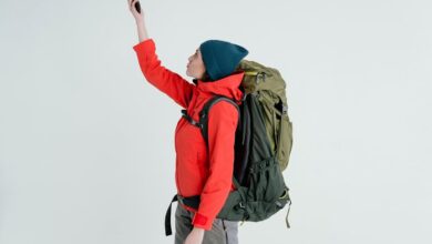 digital phone signal guide unlocking caller insights