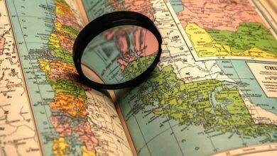 online search discovery guide reveal keywords