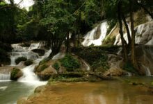 research topic exploration portal