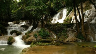 research topic exploration portal