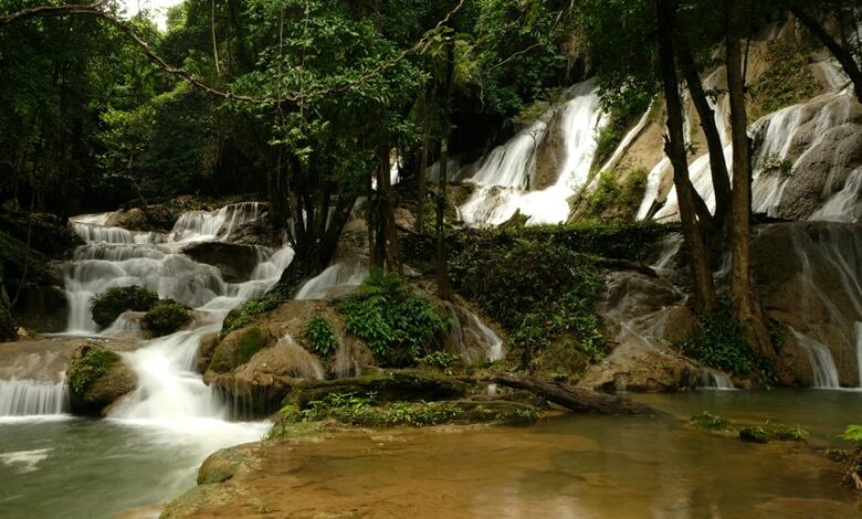 research topic exploration portal