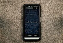 smart caller portal start