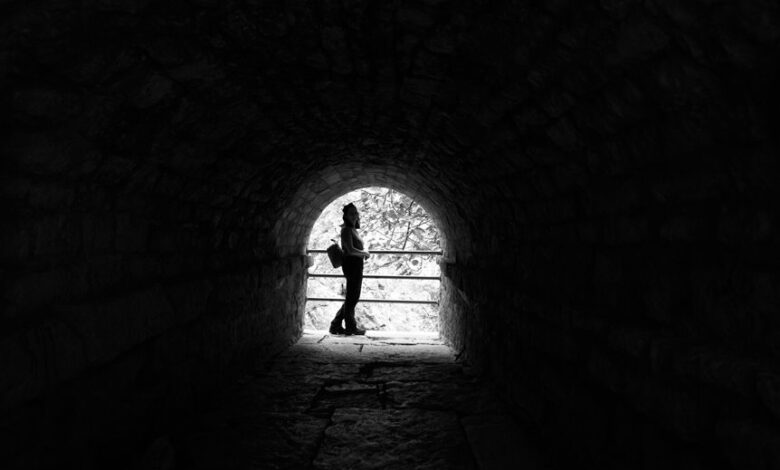 smart trace intelligence portal