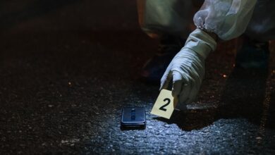 number registry entries identified for given ids