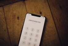 number registry insights for specific numbers