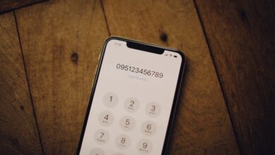 number registry insights for specific numbers