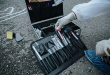 registry entries reveal detailed investigations