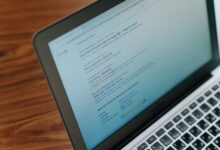 registry lookup results for given ids