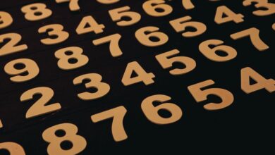 registry numbers listed for inspection