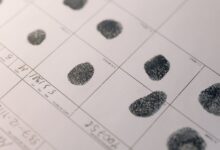 registry reference numbers search results