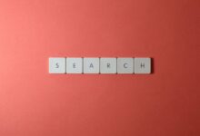 registry search references four ids listed