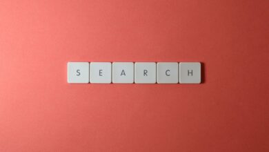 registry search references four ids listed