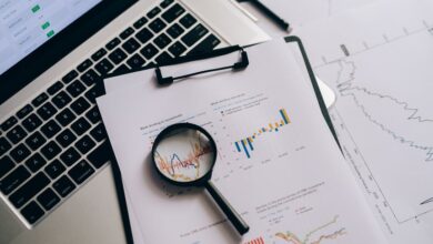 search registry reports by ids