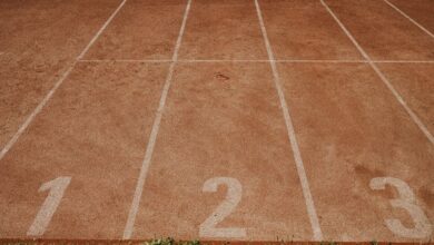 track numbers for verification 3533451760 3312394151 3314071654 3384389000 3457213023