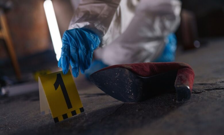 verified registry evidence ids provided