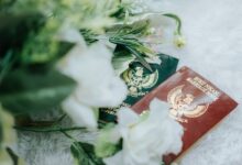 verified registry listings for five npi numbers